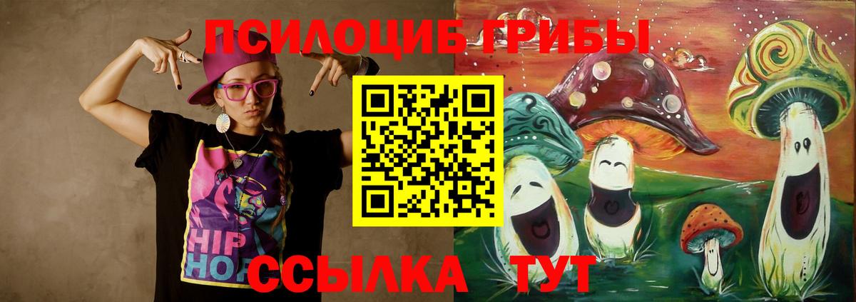 Псилоцибиновые грибы Psilocybine cubensis  Вход с VPN  Галлюциногенные грибы мицелий  Красноярск 