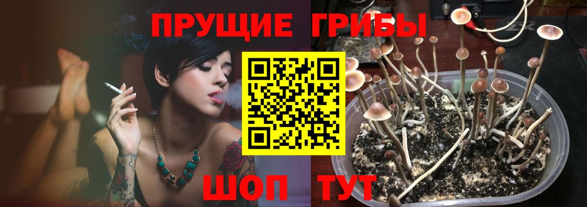 Галлюциногенные грибы MAGIC MUSHROOMS Красноярск